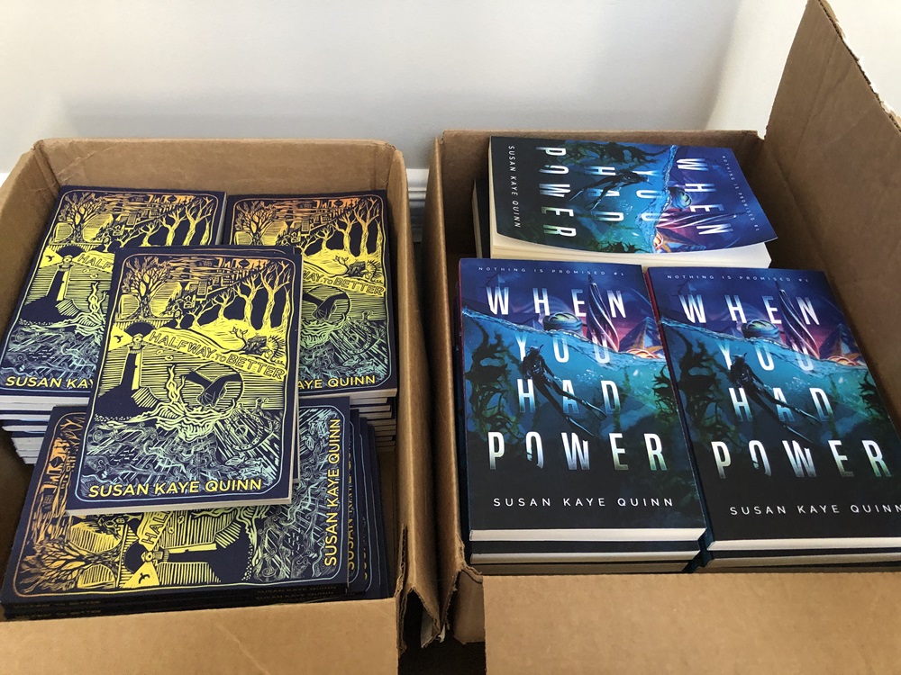 Two boxes of books, one containing Halfway to Better by Susan Kaye Quinn and the other containing When You Had Power by Susan Kaye Quinn