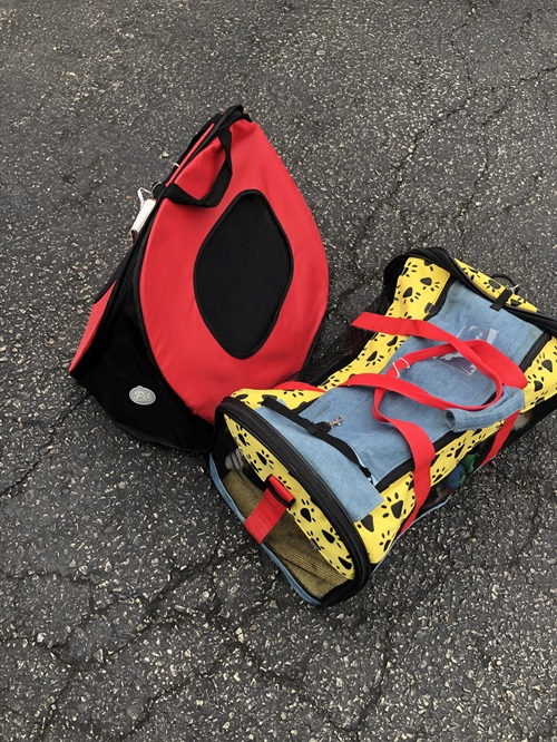 two cat carriers, one red and one yellow & blue — Ninja is in the red one, Techy in the other