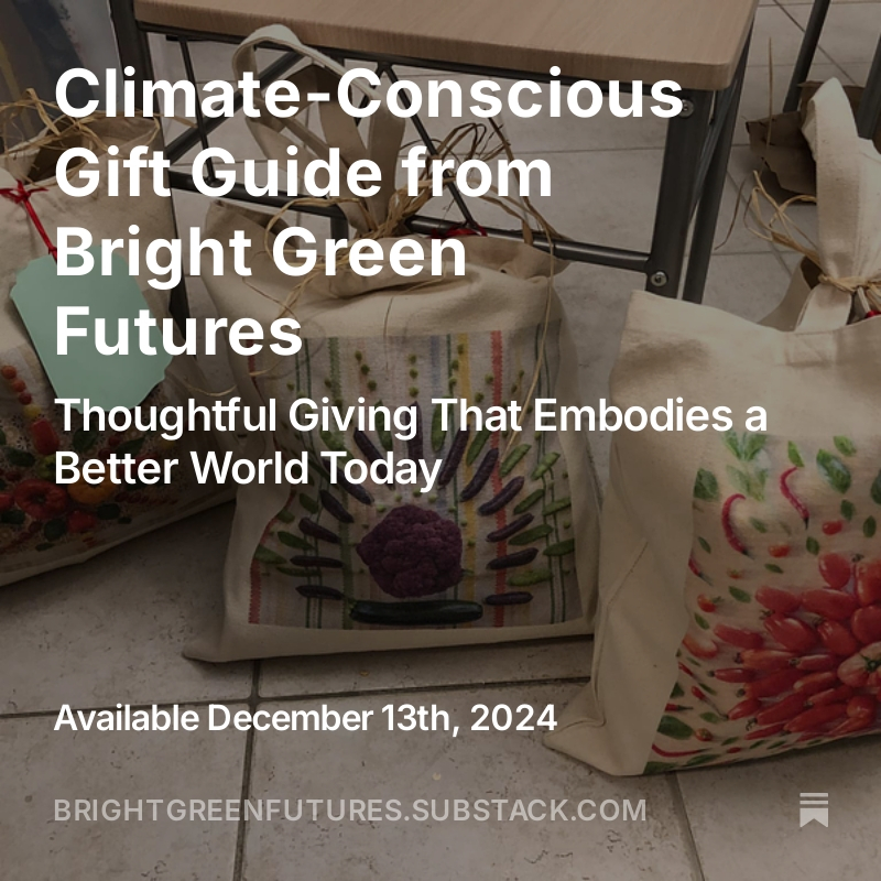 image of eco-bags
Climate-Conscious Gift Guide from Bright Green Futures: Thoughtful Giving That Embodies a Better World Today