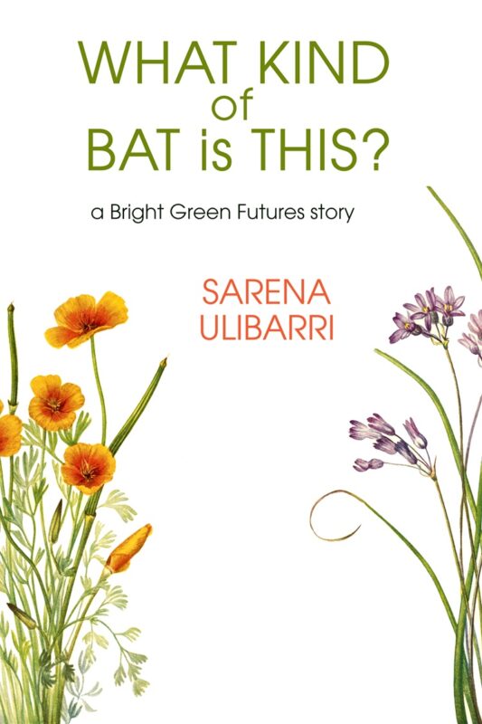 What Kind of Bat is This?